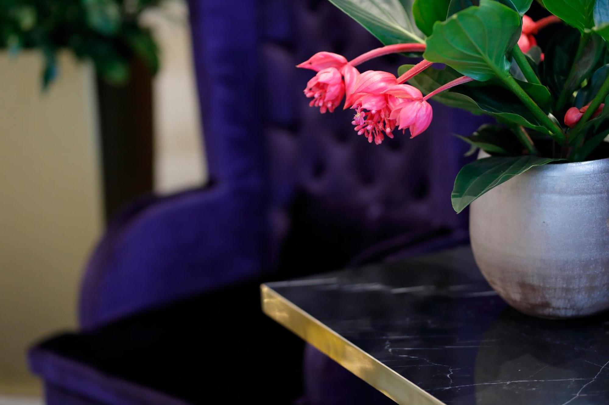 The Sydney Hotel Bolonya Dış mekan fotoğraf